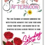 Beautiful Saturday afternoon blessings with flowers and sunshine